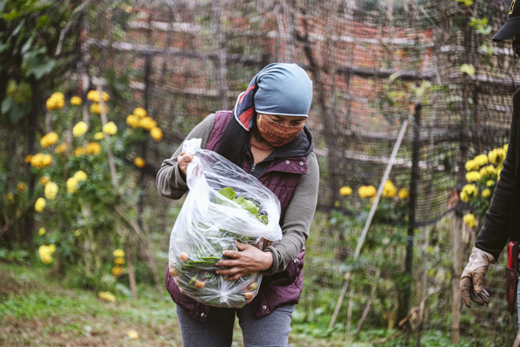 New Roots supports immigrant refugees through its community garden