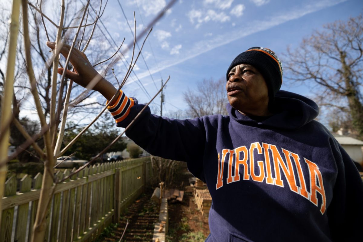 A woman touches the buds of a small tree.