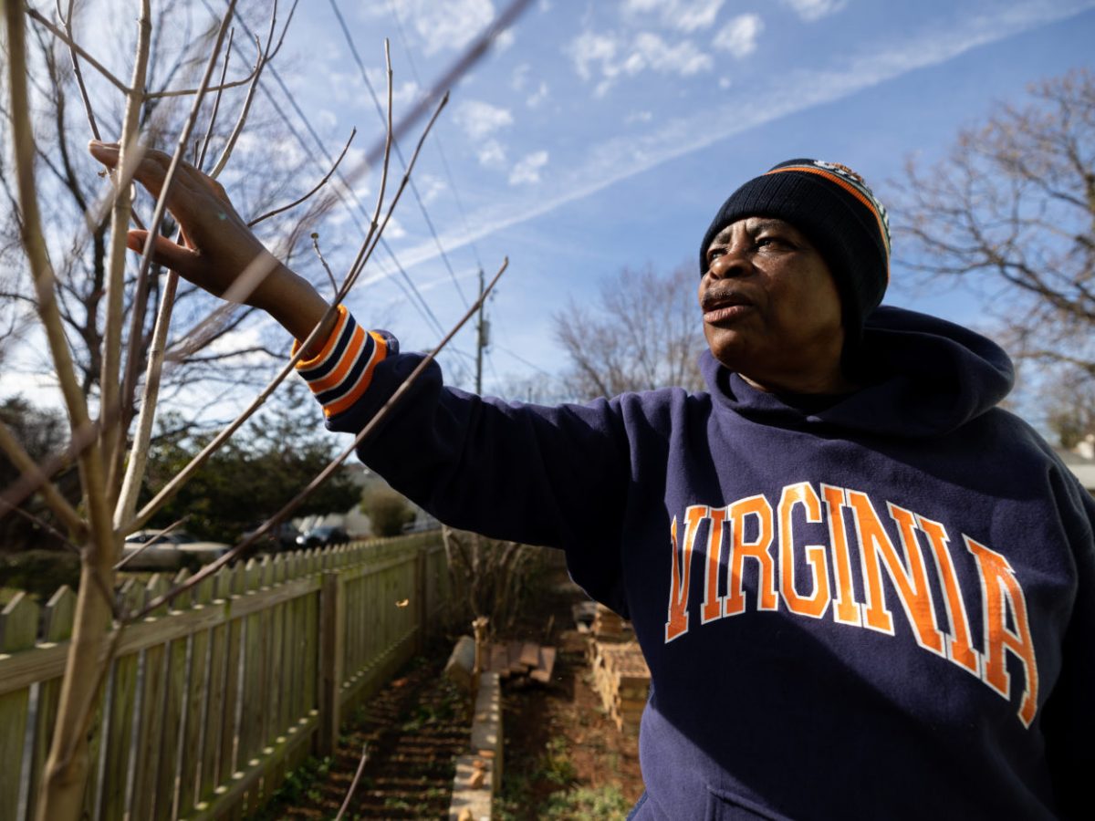 Charlottesville’s 10th & Page has fewer trees and higher temperatures than other residential neighborhoods — and it’s not by accident