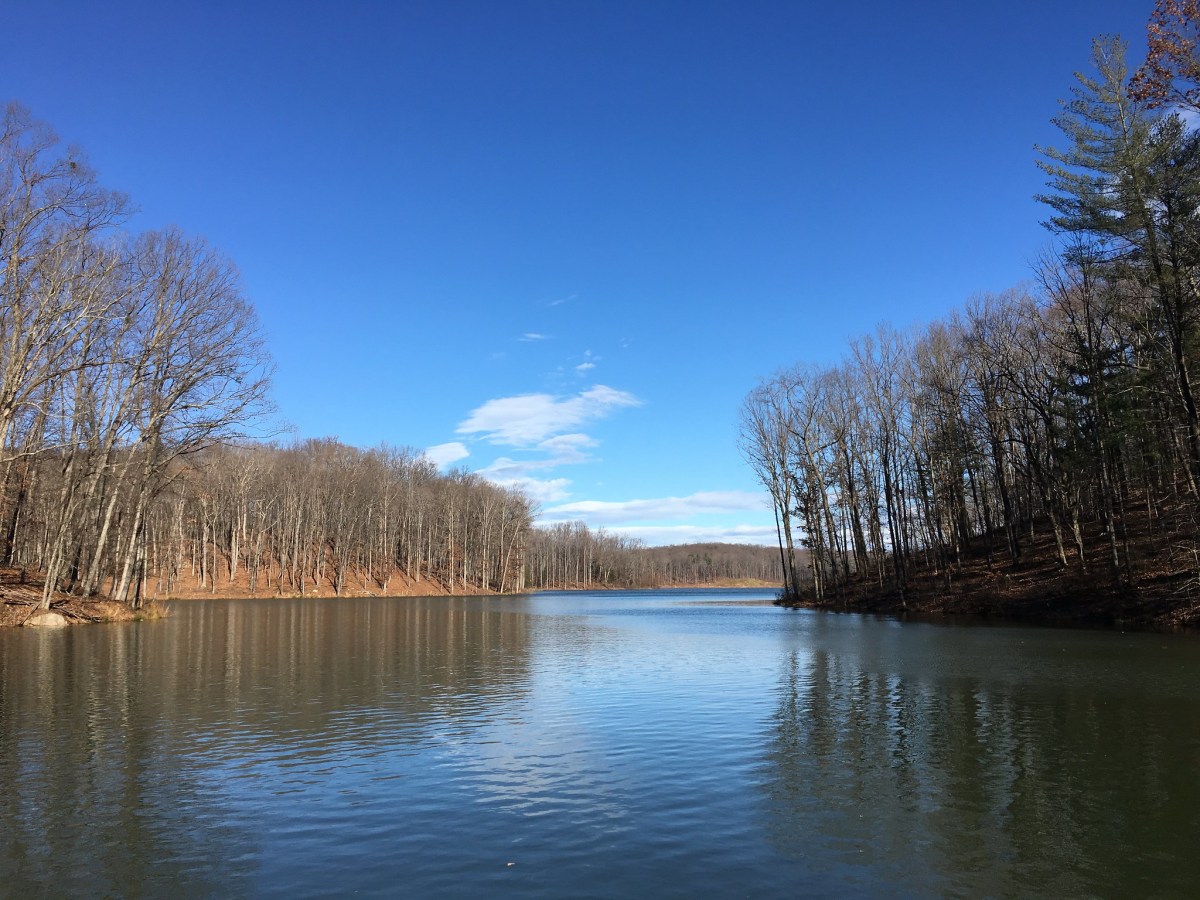 A lake surrounded by bare trees.