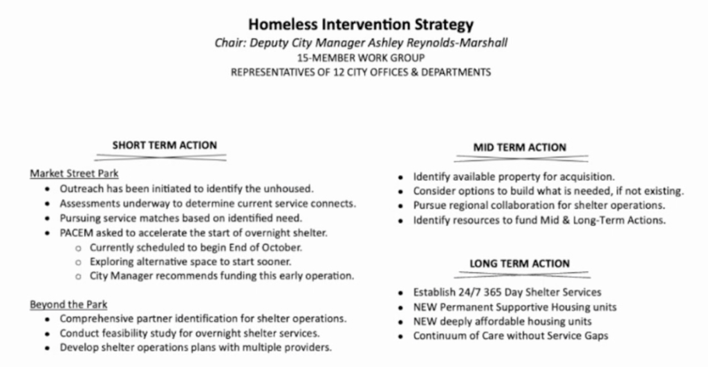 A screenshot of a plan with many words, titled "Homeless Intervention Strategy"