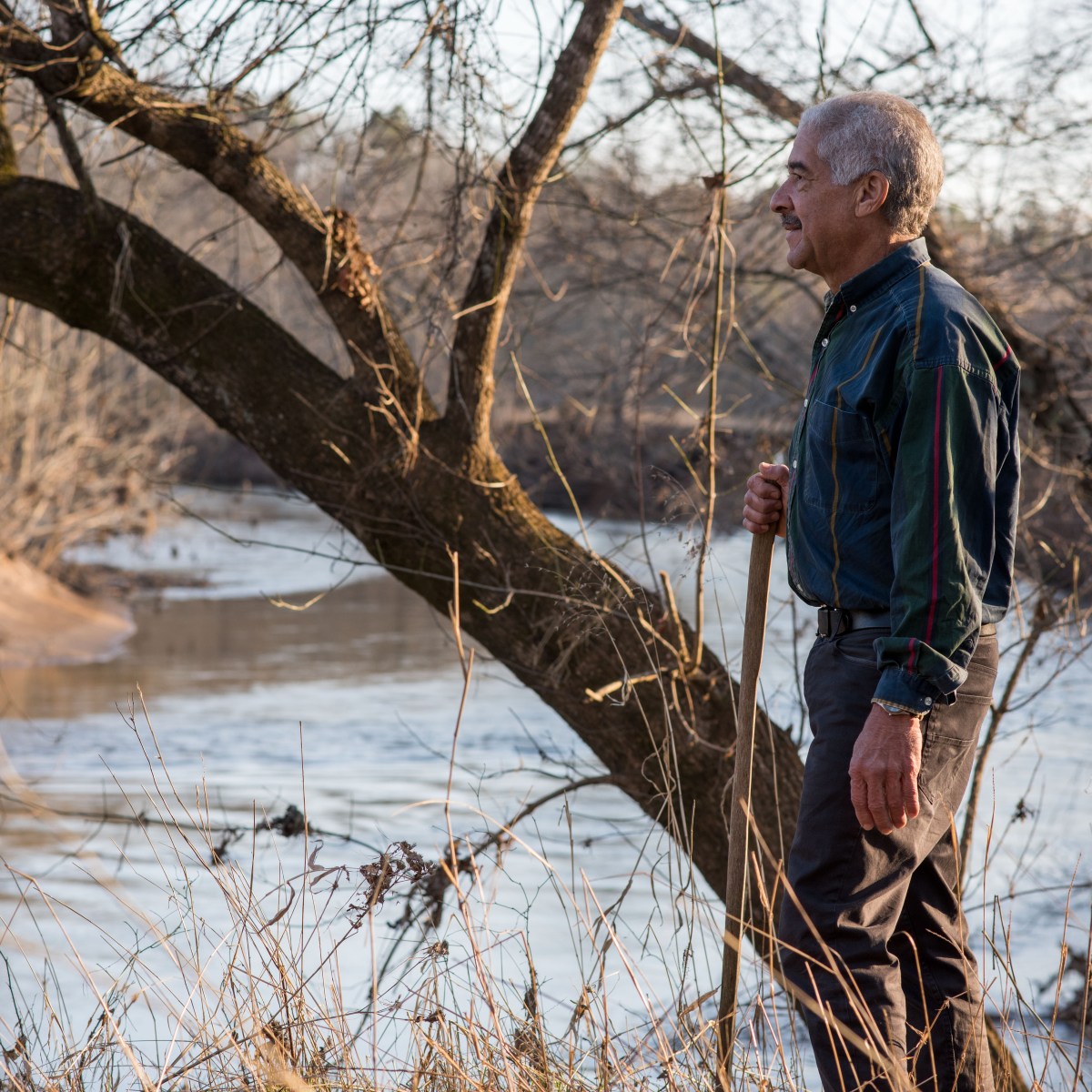 How one family owned and ran the largest Black-owned farm in Albemarle County — for generations