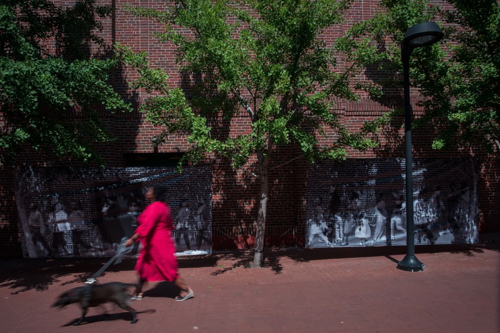 A person in a red dress walks a brown dog on a brick lined street, with trees and large format black and white photos behind her, and a brick building behind those.