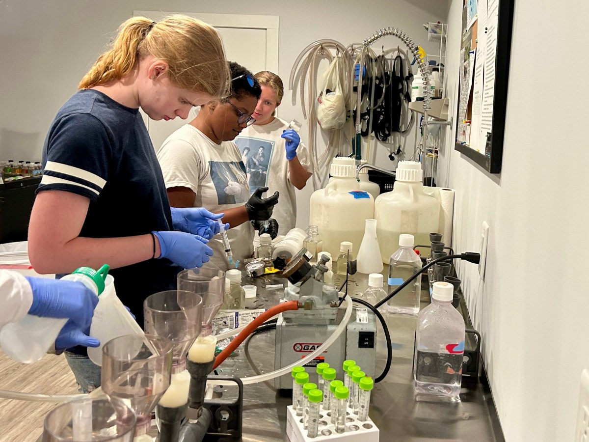 Warmer temperatures mean devastating E. coli outbreaks like the one at Lake Anna could become more common