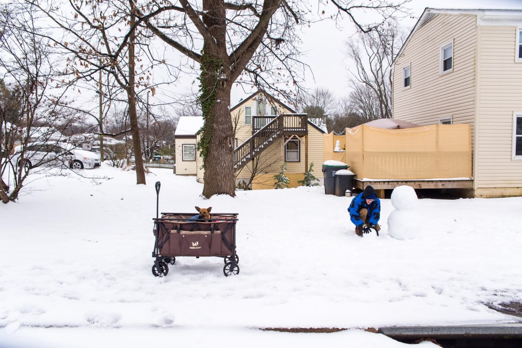 A home and a tree behind a person standing next to two large snowballs, stacked in the beginning of a snowman. A small dog sits in a cart in the foreground.