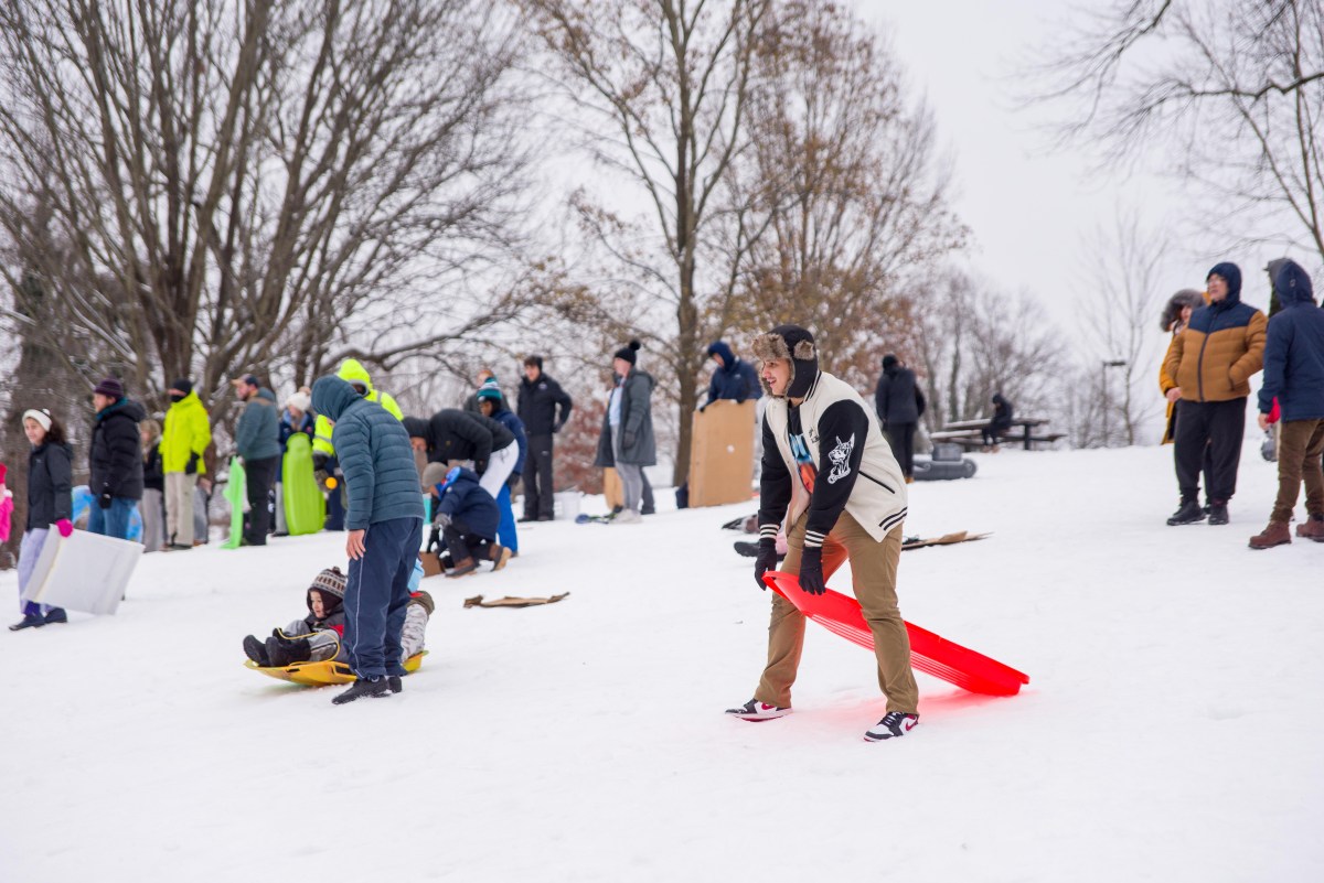 A person with a red sled in the snow, surrounded by other in snow gear and some bare trees.