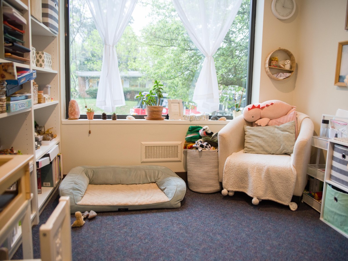 A room with a small chair with a stuffed animal on top, a dog bed on the floor and bookshelves that hold binders and baskets. There is a canvas bin next to the chair holding more stuffed animals, and trees can be seen outside a large window at the back of the room.