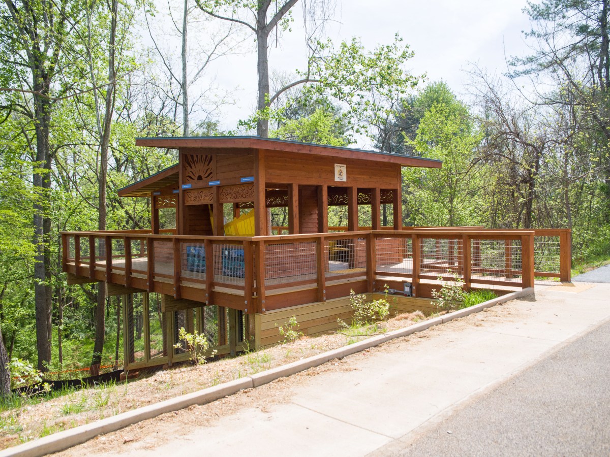 A short bridge next to a concrete path leads to a large treehouse with several large trees behind it.