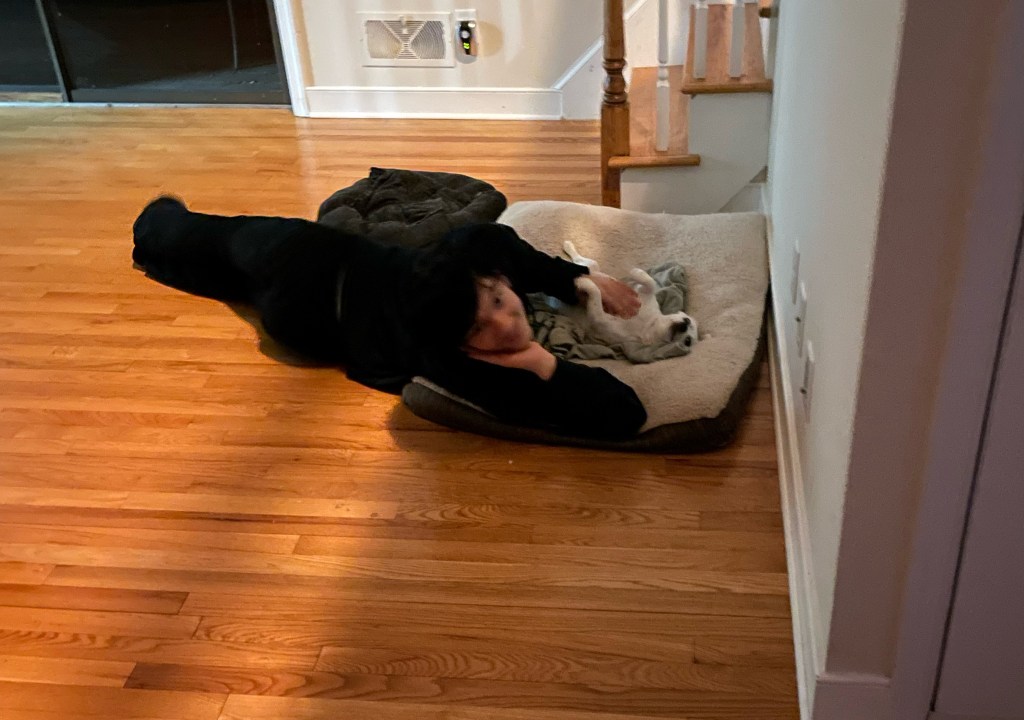 A young boy wearing all black is lying on the wood floor next to a dog bed and a small white dog, petting it. The boy's face is blurred, but he is looking at the camera and smiling.