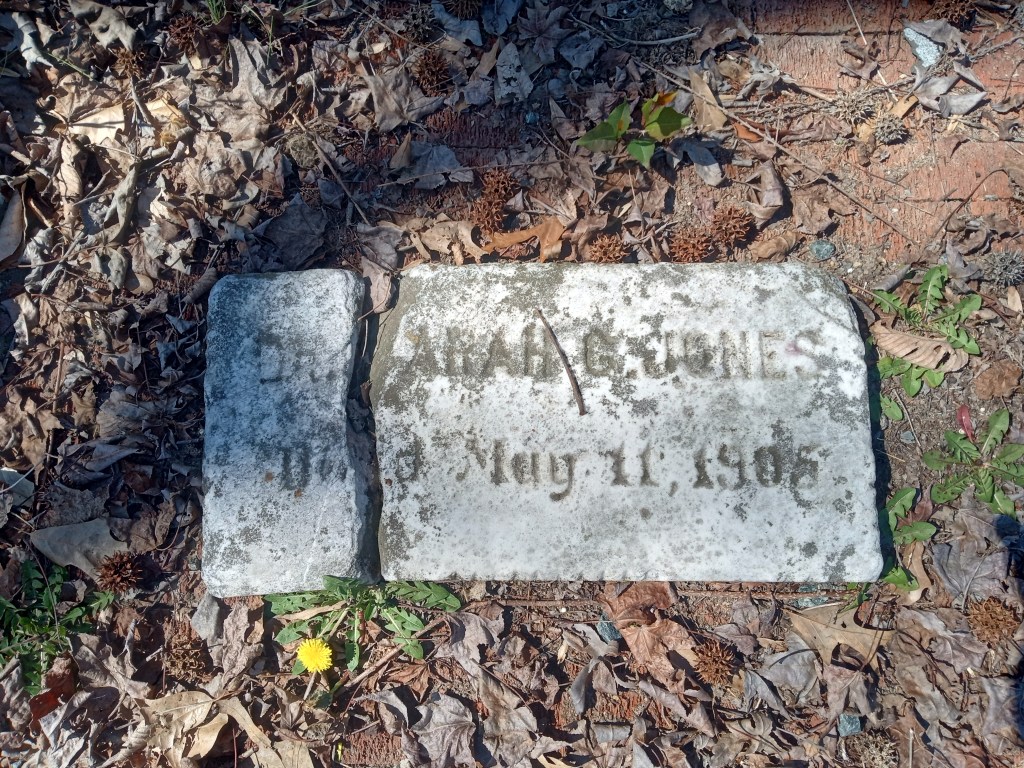 A simple stone grave marker in the ground, surrounded by browning leaves. The marker, which has a crack down one side, reads in sometimes faint letters: Dr. Sarah G. Jones, Died May 11, 1905.