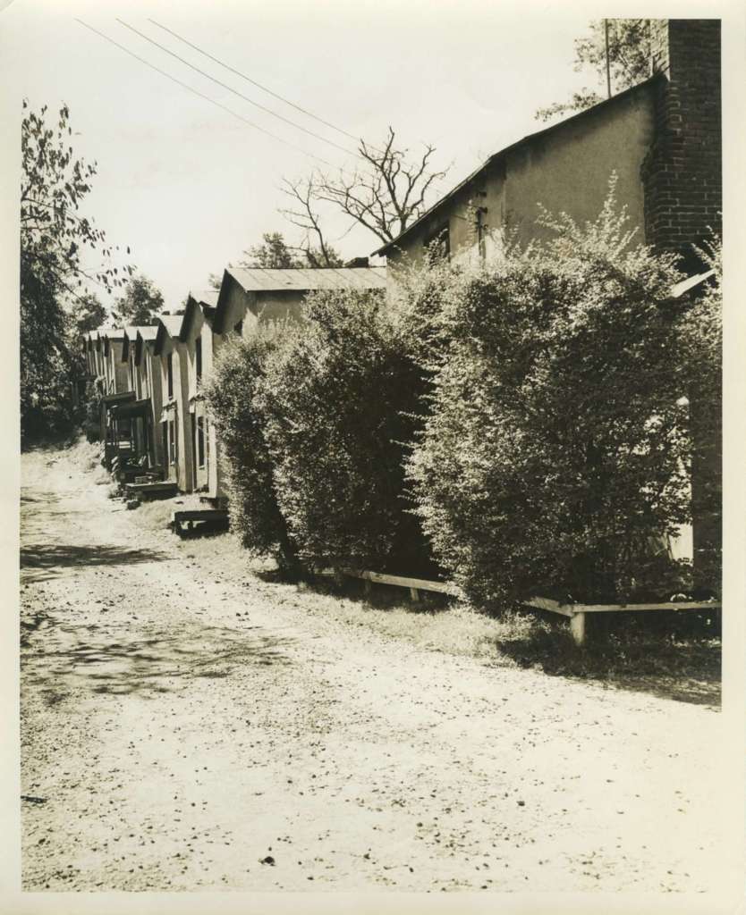 A black and white photo of a row of small houses along a path, with bushes in front of each.