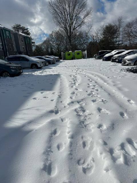 A snow filled parking lot next to a brick building.