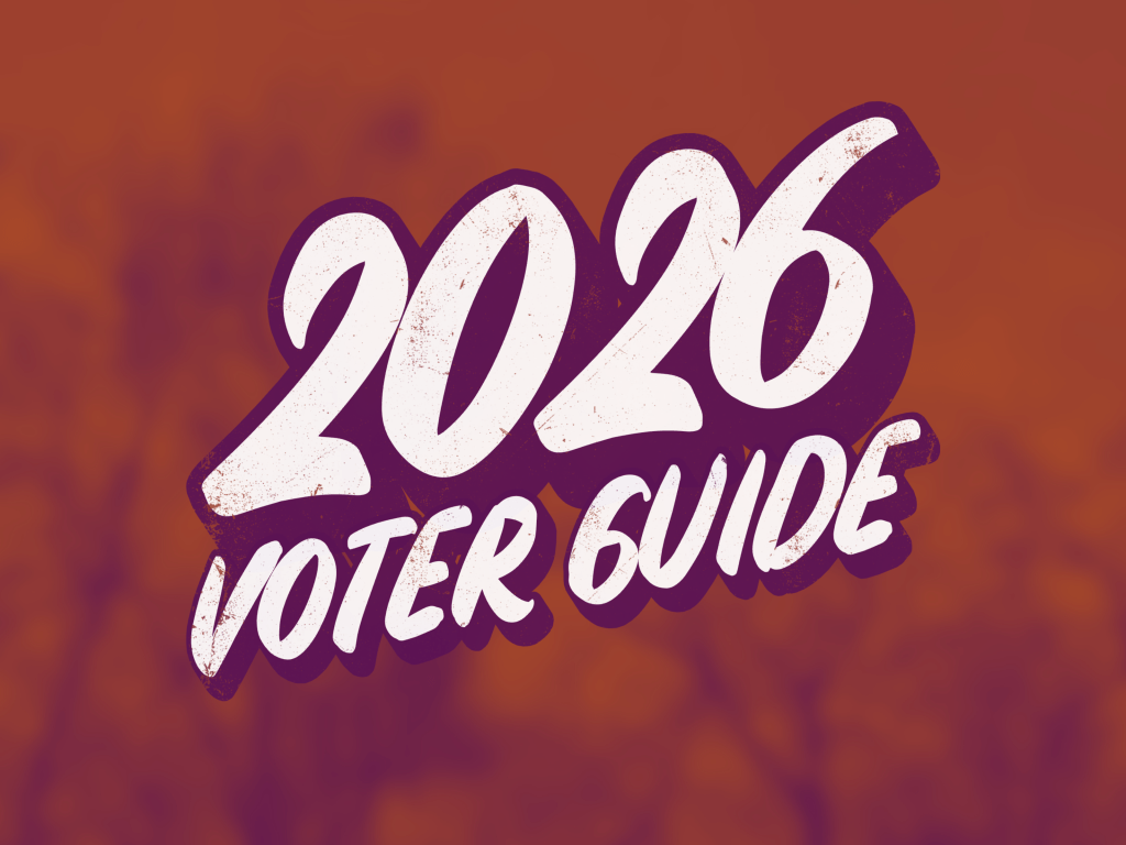 A purple and green graphic reads: "2026 Voter Guide."