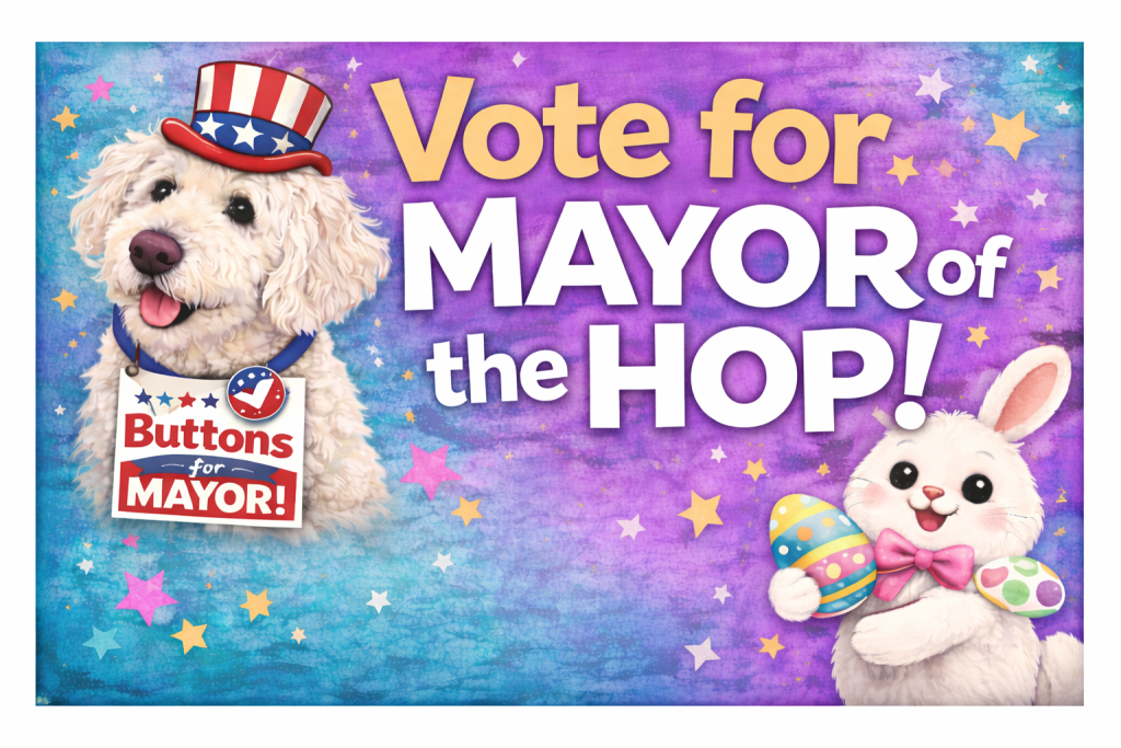 A blue and purple illustration of two animals, a white dog with an Uncle Sam-style top hat and a sign that says "Buttons for Mayor" and a cartoon bunny holding an easter egg. Text in a playful font reads: "Vote for MAYOR of the HOP!"