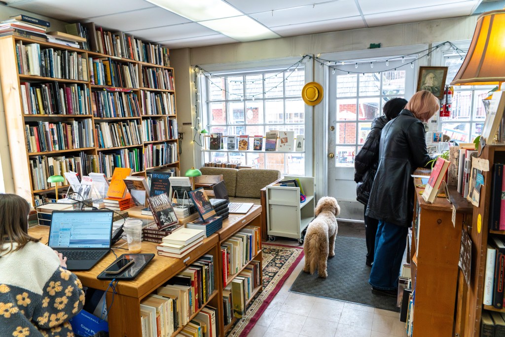 The interior of a bookshop with soft lighting, large windows, a glass door, and bookshelves packed with books of various sizes. A woman sits at a desk looking at a laptop computer while two women browse books on the shelves. A small dog stands in the shop, facing the front door.