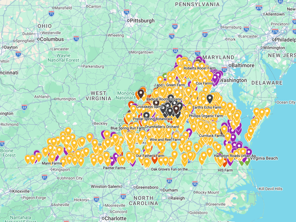 Charlottesville resident creates a new view of food infrastructure